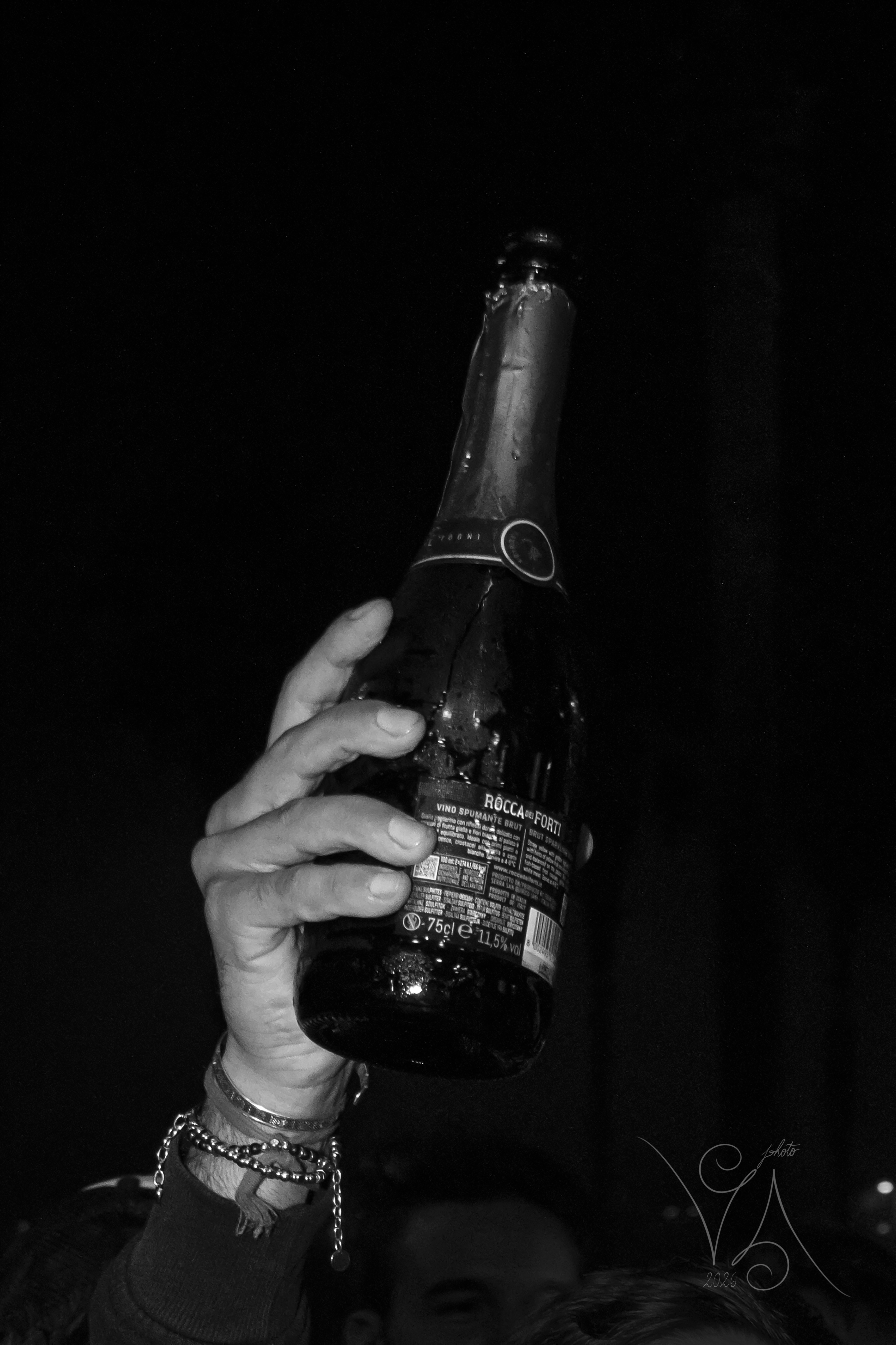 DSC_0004 copia.jpg